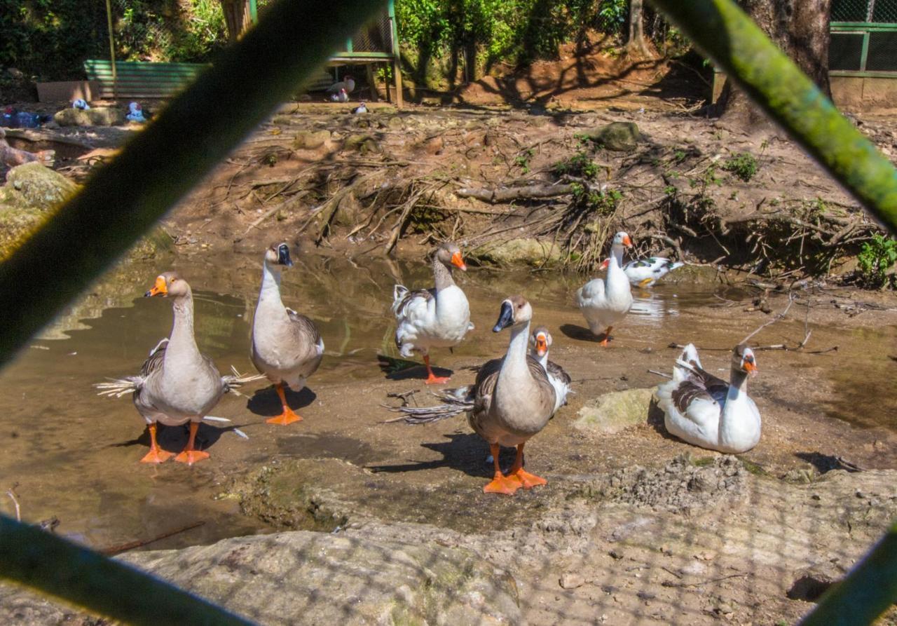 Hotel Fazenda Canto da Serra Jaconé Esterno foto